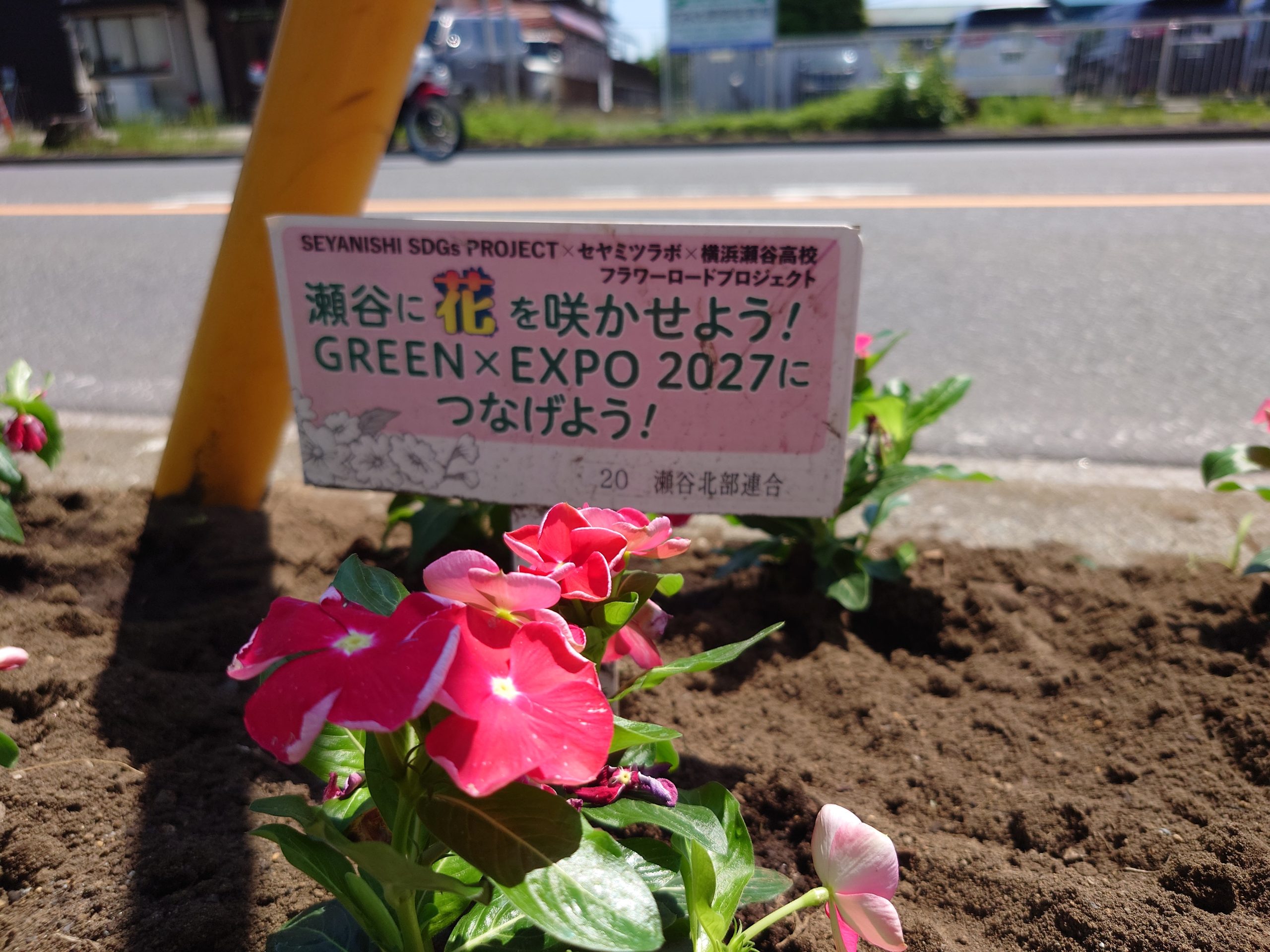 フラワーロードプロジェクト2024の開催 | お知らせ | 瀬谷北部町内連合会